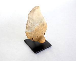 Knobbed French Handaxe