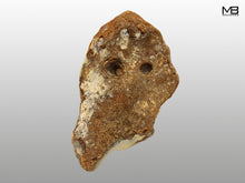 Lower Palaeolithic "Mask" Handaxe